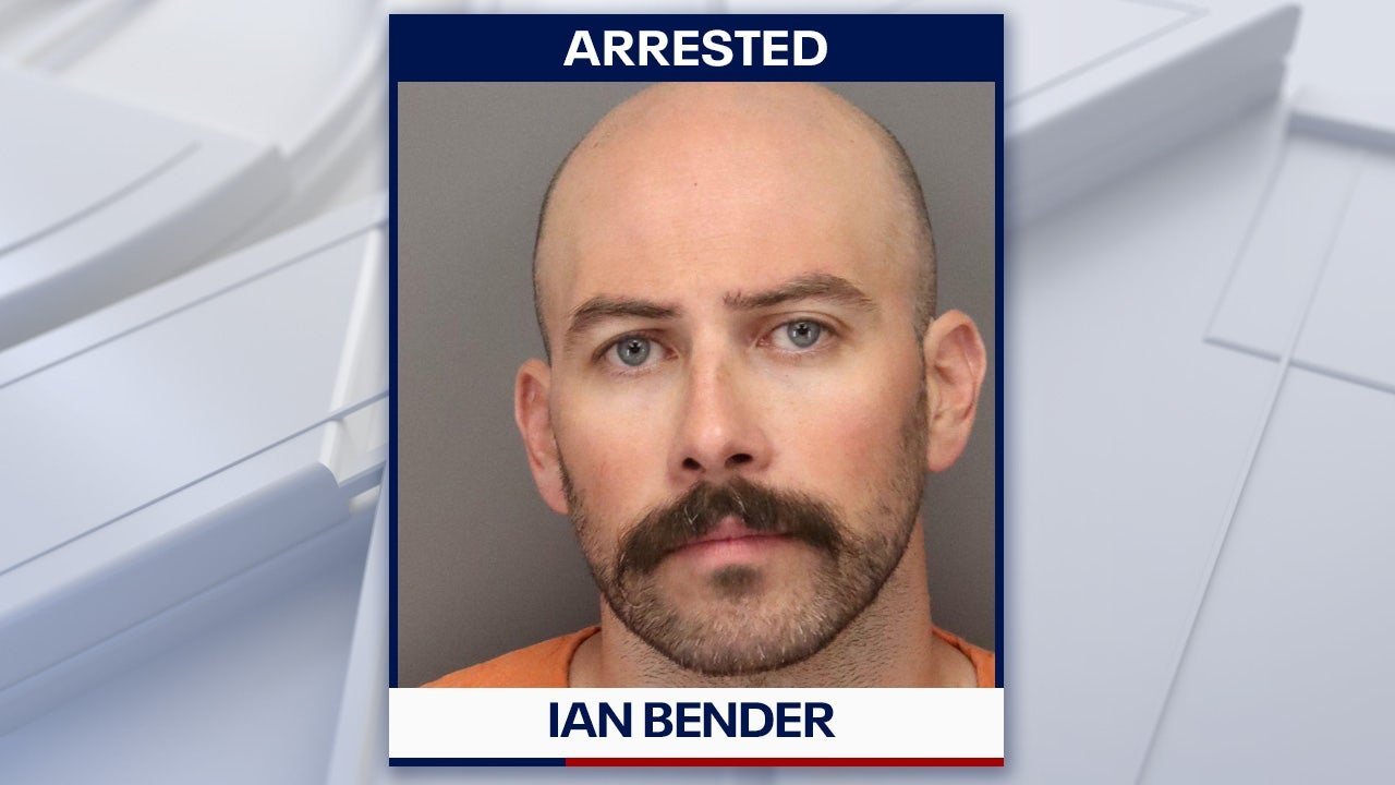 Accused cat killer ‘sick of caring’ for friend’s felines arrested in Pinellas County