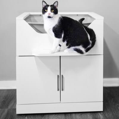 LoftyLoo™ is a modern, top-entry raised litter box that controls odors and keeps supplies within reach. Its sleek design integrates elevated accessibility, hidden storage, and comfort. Ideal for elderly or disabled cat owners, the knee-high cabinet eliminates the need to bend over, easing joint strain. LoftyLoo™ is also dog-proof, offering a clean, stress-free experience for both pets and owners while maintaining a stylish, functional aesthetic.