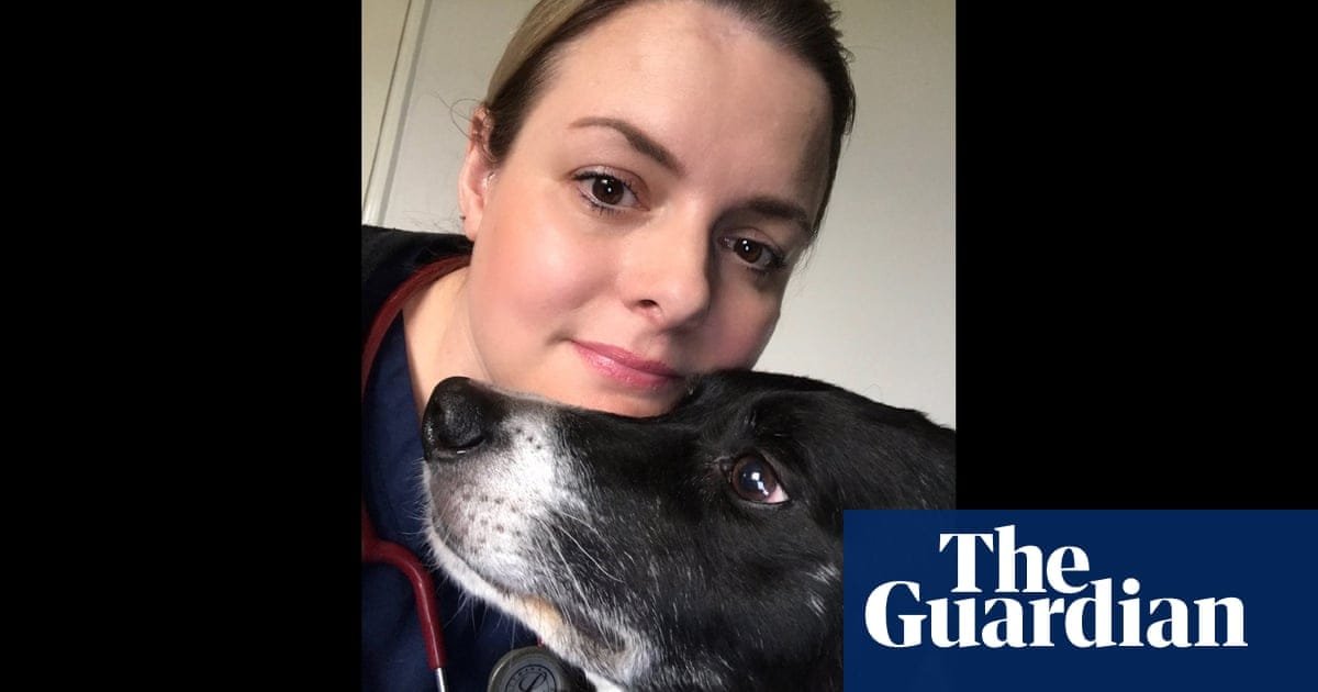 Vet reprimanded for home care of ‘happy’ cat she was told to euthanise | Cats