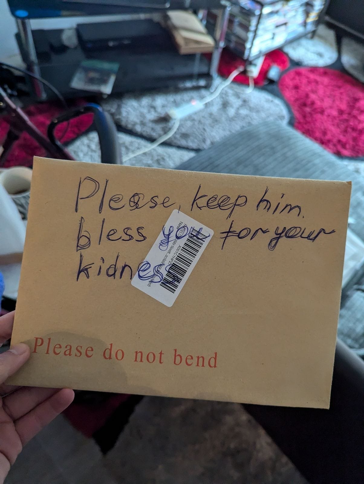 RSPCA cares for injured cat abandoned with note asking for kindness