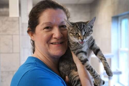 Palatine cat rescue facility shows off new veterinary care center