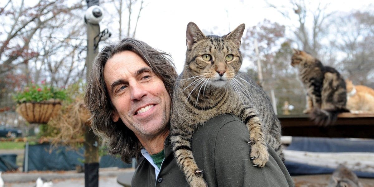 Fire kills cat sanctuary founder and more than 100 rescued felines