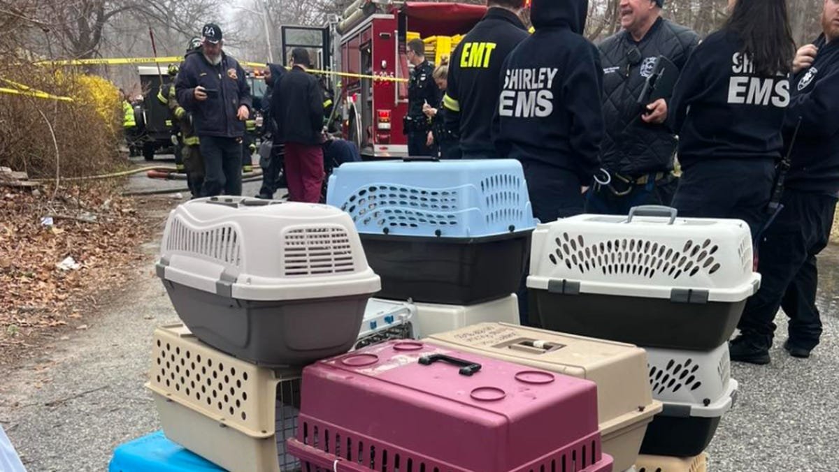 Cat sanctuary owner, 100 cats die in fire