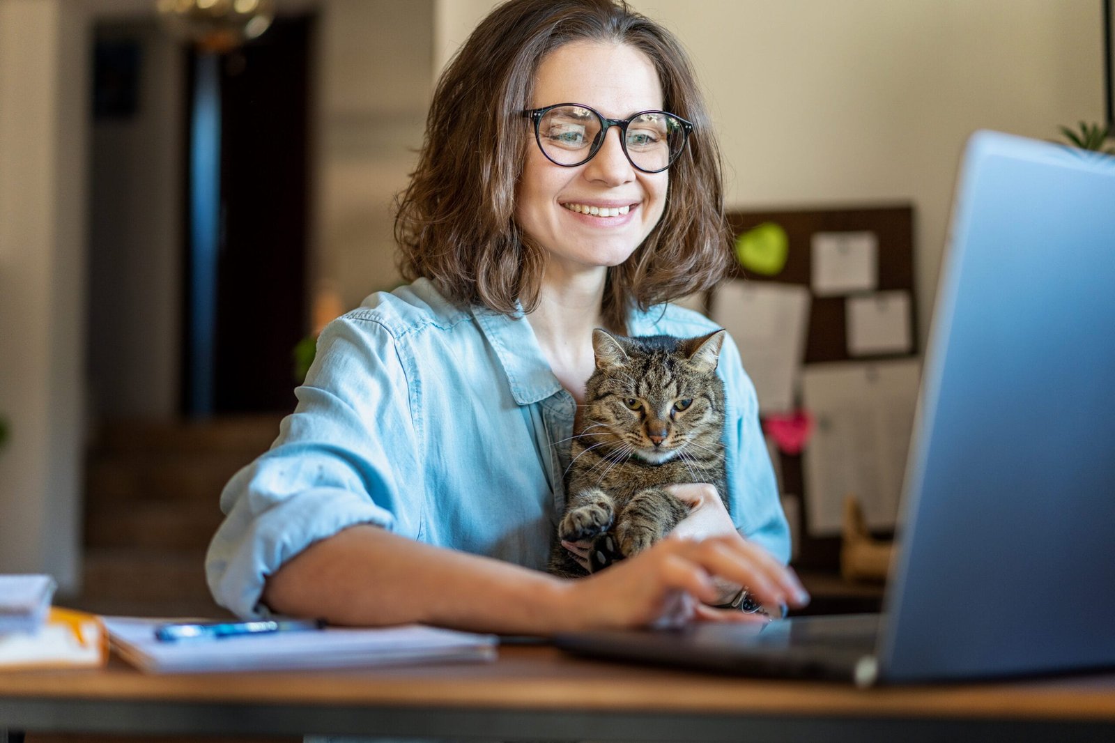 Telehealth can improve care for cats with chronic health issues