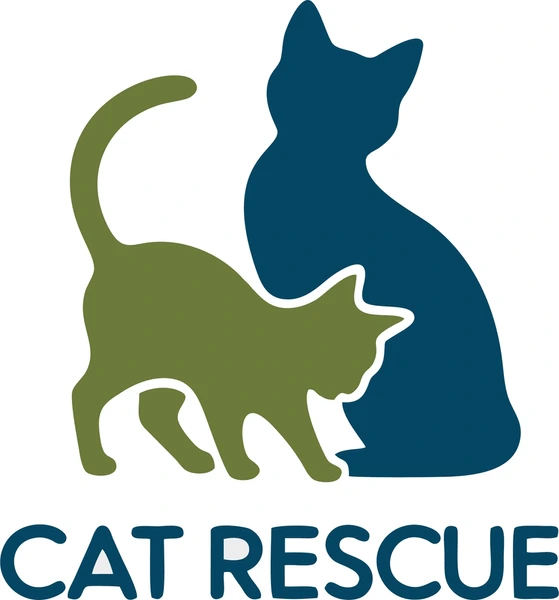 How Toledo’s Cat Cafés and Rescues Are Reshaping Feline Care