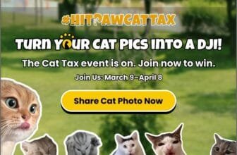 HitPaw pay the cat tax