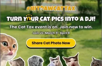 HitPaw pay the cat tax