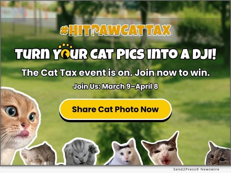 HitPaw pay the cat tax