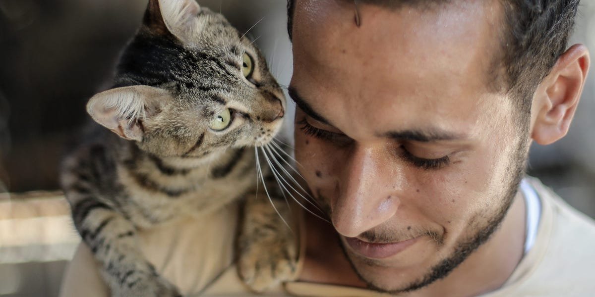 Gen Z Loves Cats. Rover Is Pouncing on the Opportunity.