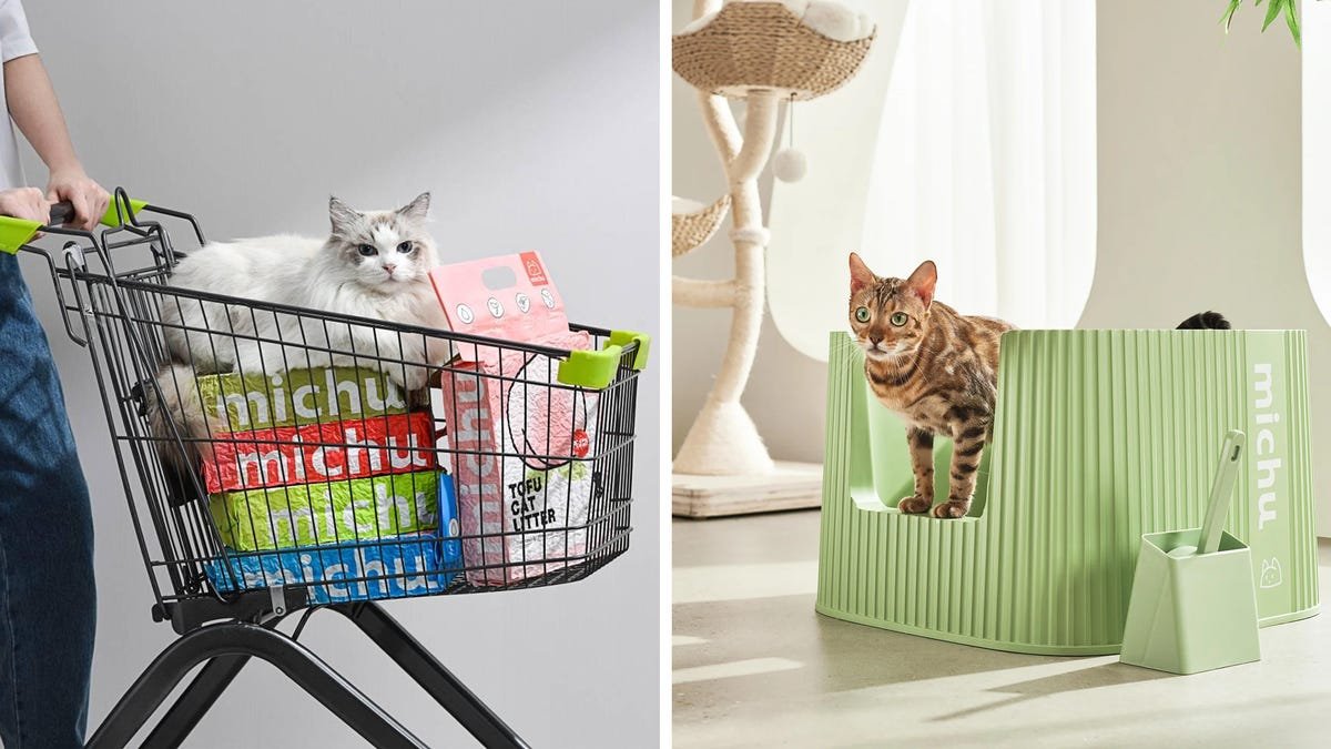 How Michu became one of the fastest-growing cat care brands
