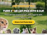 HitPaw Launches its Playful 2026 ‘Pay the Cat Tax’ Campaign – Win Prizes by Sharing and Caring for Your Cat