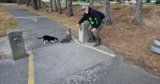 Feeding Feral Feline Friends: Citizen Provides Care to Stray Cats | News