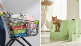 How Michu became one of the fastest-growing cat care brands