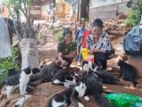 Bluff ‘cat lady’ cares for 34, with sterilisation a priority – The Mail & Guardian