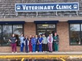BOCES Students Support Cat Care At Dunkirk Clinic | News, Sports, Jobs