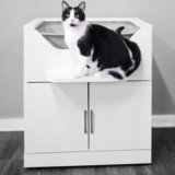 LoftyLoo–The First-Ever ADA-Accessible Raised Litter Box–Transforms Lives of Mobility-Chworldnet027enged Pet Owners