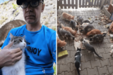 Man Unwittingly Rescues Pregnant Cat—Winds Up Taking Care of 100 Strays